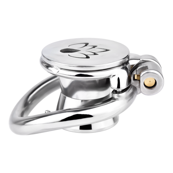 Inverted PA Chastity Cage for Pierced Men — image 19 Inverted PA Chastity Cage for Pierced Men — product image 19