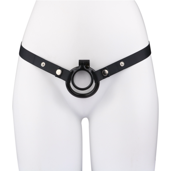 Lockable Resin Cock Ring Chastity Cage – Blue / Black / Pink / White — product image 23