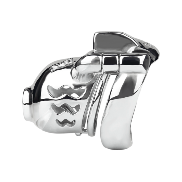 Prince Albert PA Metal Chastity Cage — product image 18