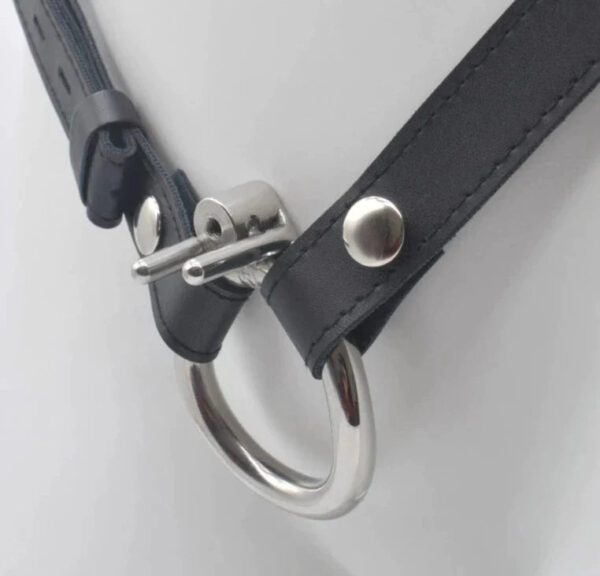 Flat Compact Chastity Cage with Ventilation Holes and Metal Catheter — product image 7