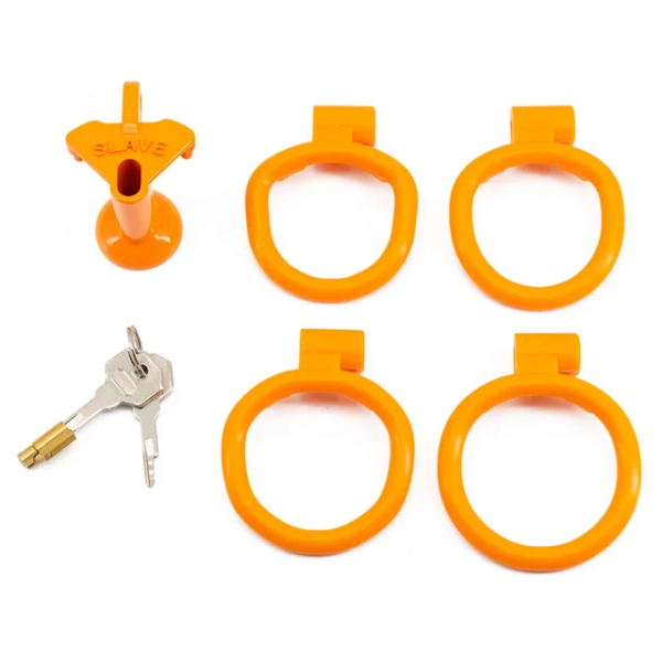 Slave Flat / Negative Chastity Cage with 4 Rings – Multicolor — product image 13