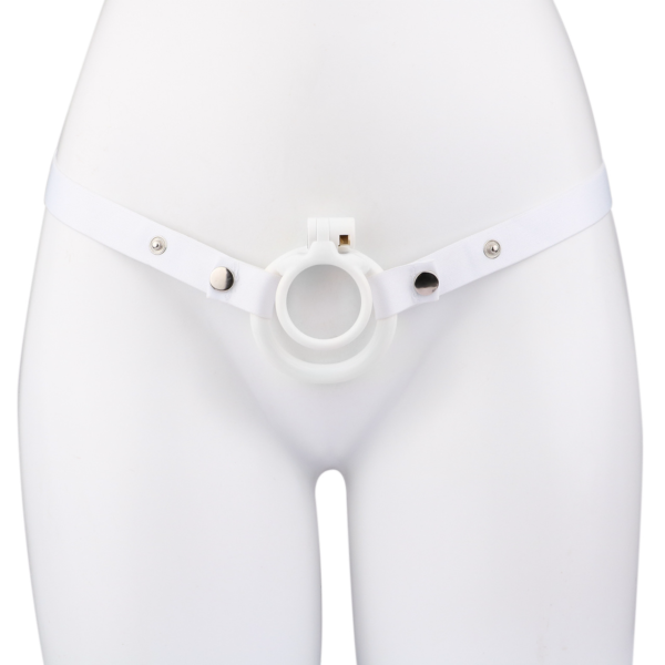 Lockable Resin Cock Ring Chastity Cage – Blue / Black / Pink / White — product image 29