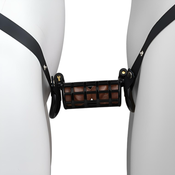 Dual Cock Chastity Device for Couples‘ Mutual Restraint — product image 18