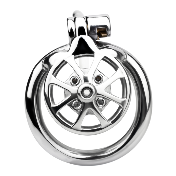 Versatile Flat Chastity Cage with Removable Spikes and Silicone / Metal Catheter — product image 27