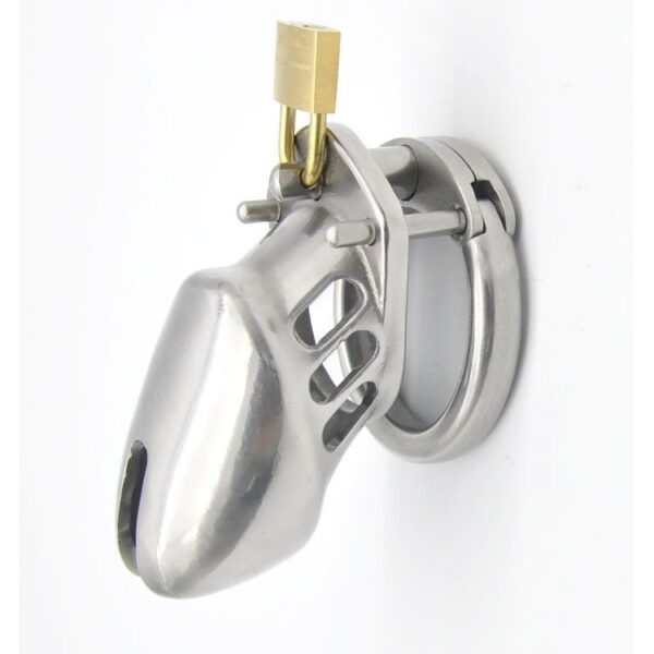 Matte Stainless Steel Chastity Cage – Long / Short Cage — product image 6