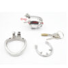 Stainless Steel Spiked Cock Cage with Anti-drop Loop Penis Ring — product image 4