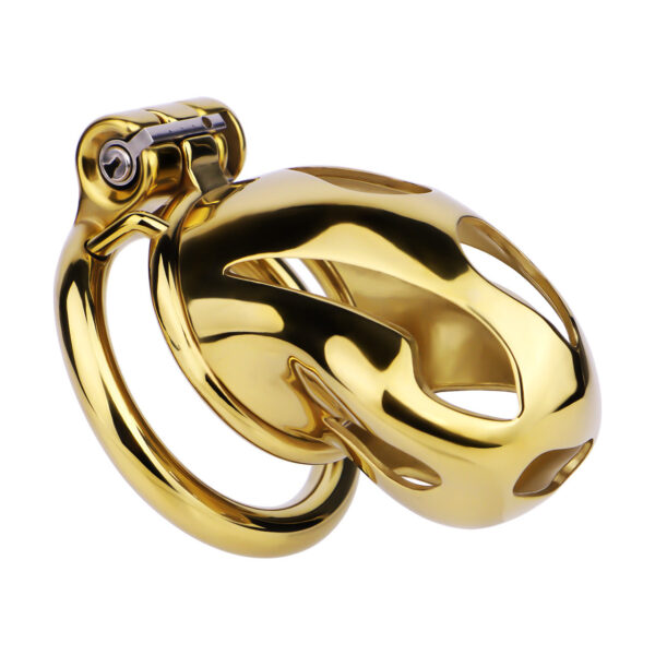 Gold Metal Classic Chastity Cage – S / M / L — product image 23