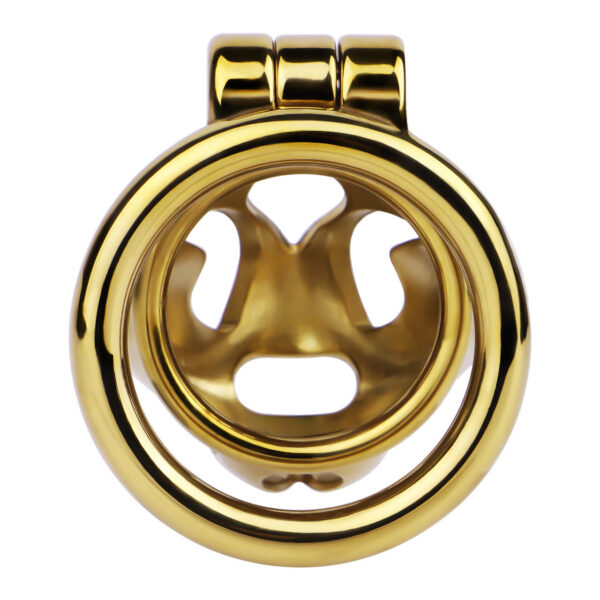 Gold Metal Classic Chastity Cage – S / M / L — product image 17