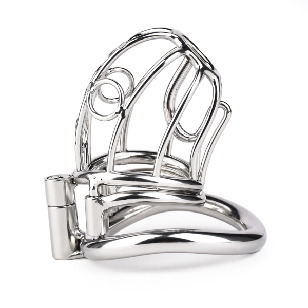Stainless Steel PA Chastity Cage with Adjustable Strap — product image 2