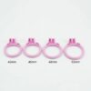 Slave Flat / Negative Chastity Cage with 4 Rings – Multicolor — product image 6