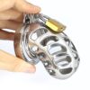 Metal Cock Cage with Spiked Penis Ring – Chastity Cage — product image 2