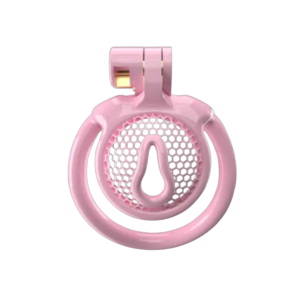 Micro Vaginal Pink Chastity Cage with Breathable Holes for Sissy with 5 Penis Rings — image 1 Micro Vaginal Pink Chastity Cage with Breathable Holes for Sissy with 5 Penis Rings — product image 1