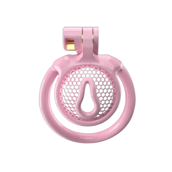 Micro Vaginal Pink Chastity Cage with Breathable Holes for Sissy with 5 Penis Rings — product image 1