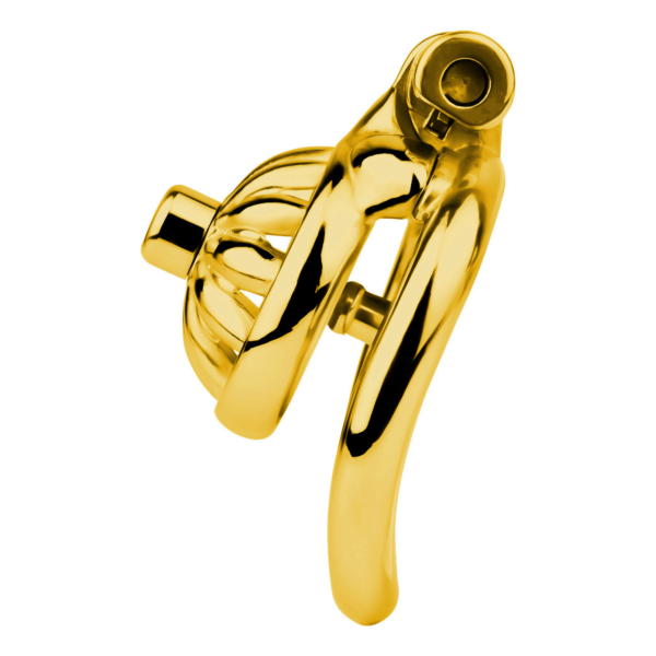 Gold Sunflower Tiny Chastity Cage — product image 24