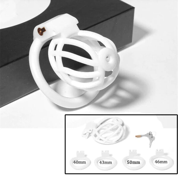 PA Prince Albert Chastity Cage with 4 Rings — image 7 PA Prince Albert Chastity Cage with 4 Rings — product image 7