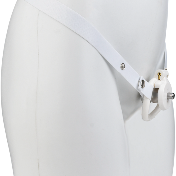 Detachable Flat Inverted Chastity Cage with Strap — product image 37