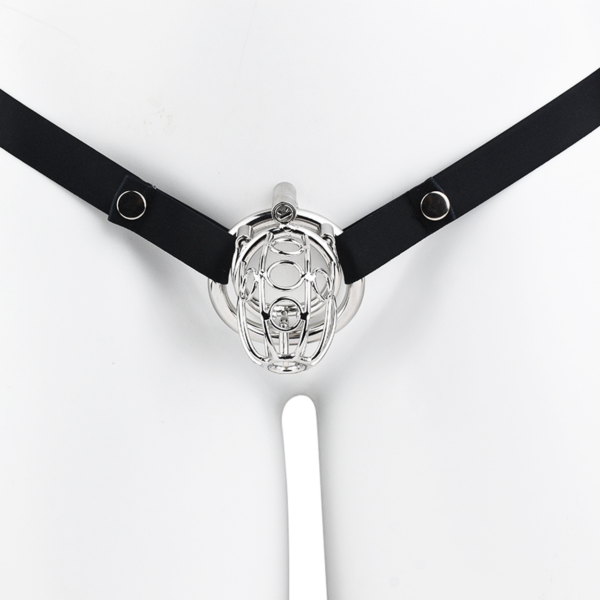Stainless Steel PA Chastity Cage with Adjustable Strap — product image 17
