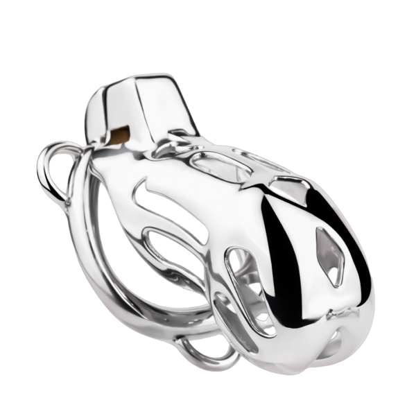 Breathable Metal Chastity Cage with Strap and Anal Plug — image 1 Breathable Metal Chastity Cage with Strap and Anal Plug — product image 1