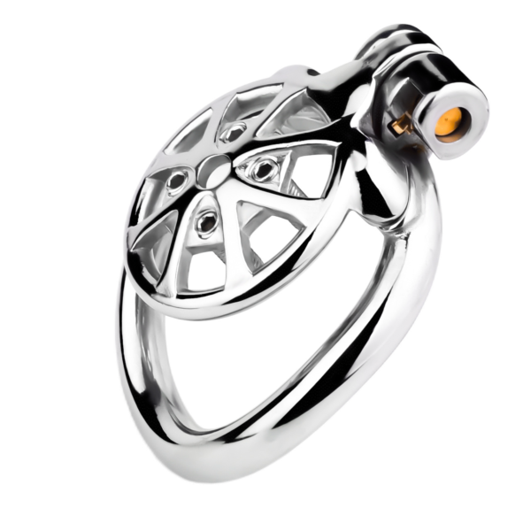 Versatile Flat Chastity Cage with Removable Spikes and Silicone / Metal Catheter — product image 24