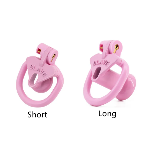 Slave Flat / Negative Chastity Cage with 4 Rings – Multicolor — product image 2