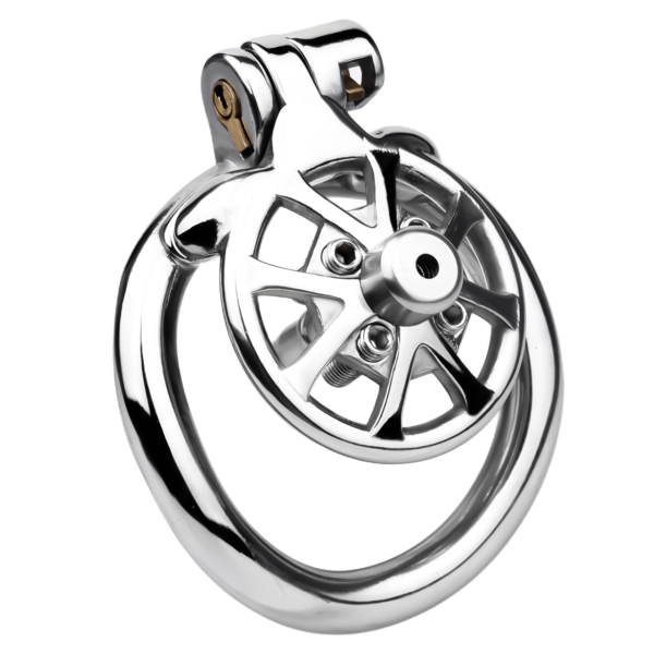 Versatile Flat Chastity Cage with Removable Spikes and Silicone / Metal Catheter — product image 26