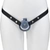 Lightweight Chastity Cage with Removable Inverted Plug and 4 Base Rings — product image 28