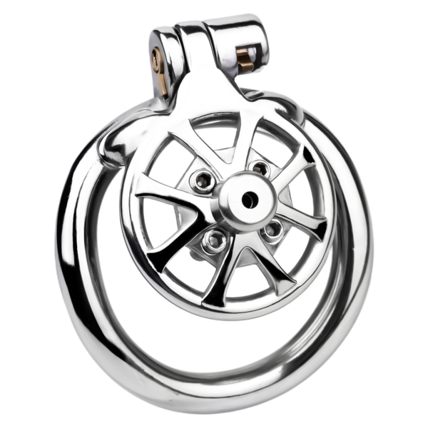 Versatile Flat Chastity Cage with Removable Spikes and Silicone / Metal Catheter — product image 15