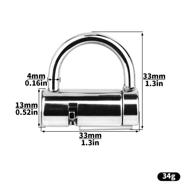 Stainless Steel Prince Albert Chastity Lock — product image 9