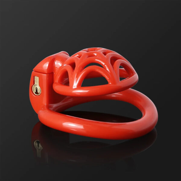 Small Lightweight Resin Spidernet Chastity Cage — image 14 Small Lightweight Resin Spidernet Chastity Cage — product image 14