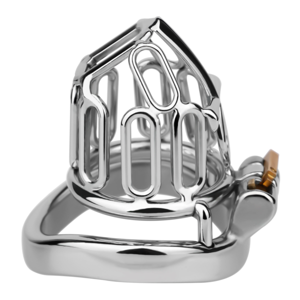 HolyLock Metal Chastity Cage — product image 16