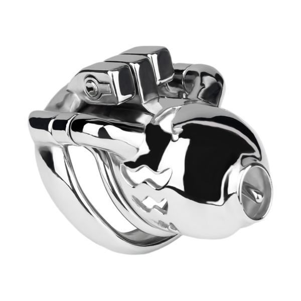 Prince Albert PA Metal Chastity Cage — product image 16