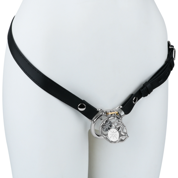Stainless Steel Snake Guard Locking Chastity Cage (Short / Long) — product image 10