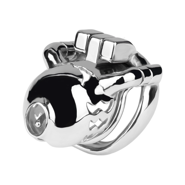 Prince Albert PA Metal Chastity Cage — product image 11