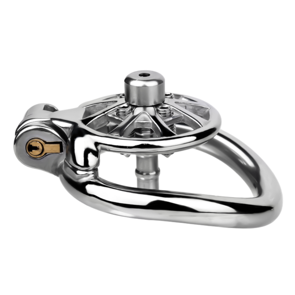 Versatile Flat Chastity Cage with Removable Spikes and Silicone / Metal Catheter — product image 19