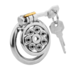 Flat Metal Chastity Cages with Removable Spikes — product image 3