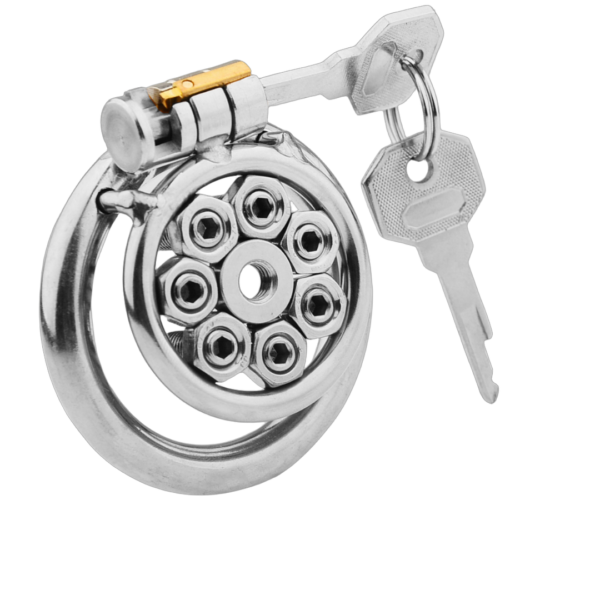 Flat Metal Chastity Cages with Removable Spikes — product image 1