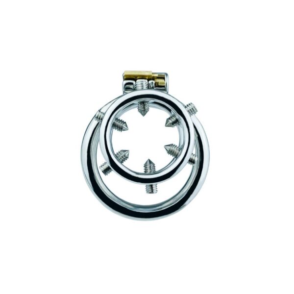 Spiked Chastity Ring Cage – Bolted Metal Cock Cage — product image 7