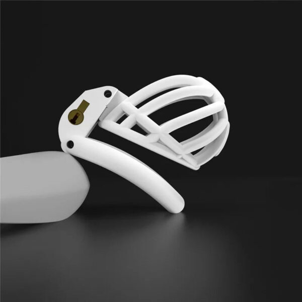 PA Prince Albert Chastity Cage with 4 Rings — image 10 PA Prince Albert Chastity Cage with 4 Rings — product image 10