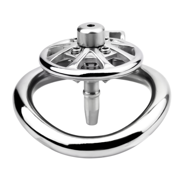 Versatile Flat Chastity Cage with Removable Spikes and Silicone / Metal Catheter — product image 13