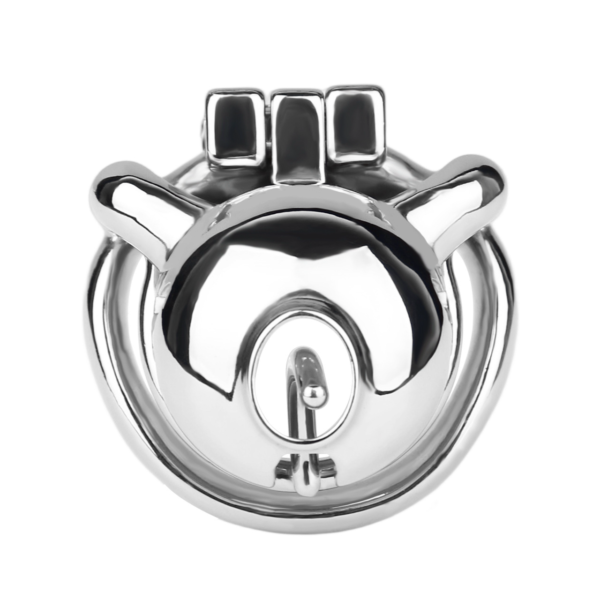 Prince Albert PA Metal Chastity Cage — product image 14