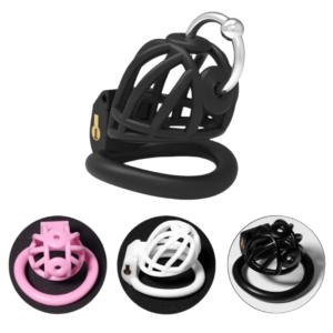 PA Prince Albert Chastity Cage with 4 Rings — product image 1