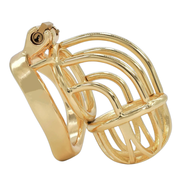 Curved Metal Gold Chastity Cage — product image 1