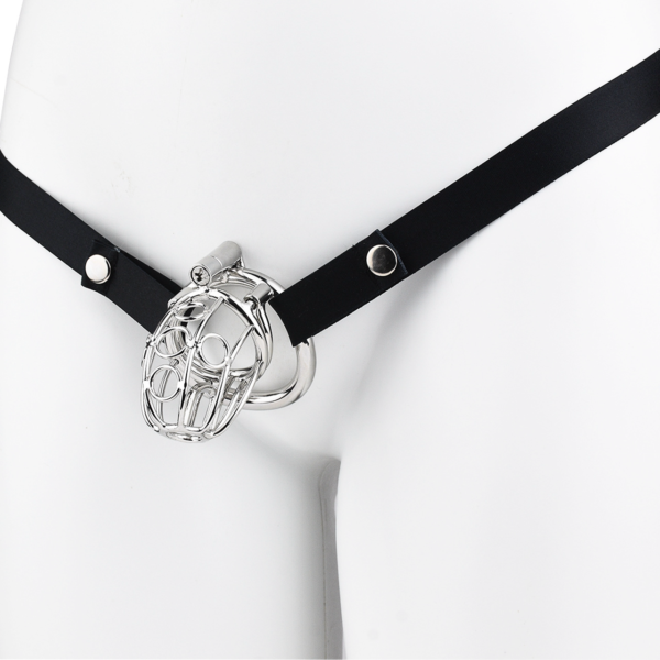 Stainless Steel PA Chastity Cage with Adjustable Strap — product image 16