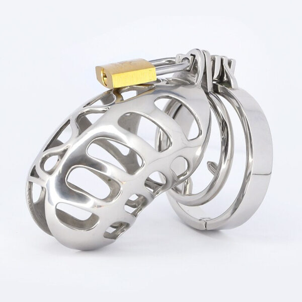 Metal Cock Cage with Spiked Penis Ring – Chastity Cage — product image 4