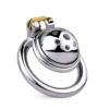 Hemisphere Tiny Chastity Cage with Detachable Metal Catheter — image 12 Hemisphere Tiny Chastity Cage with Detachable Metal Catheter — product image 12