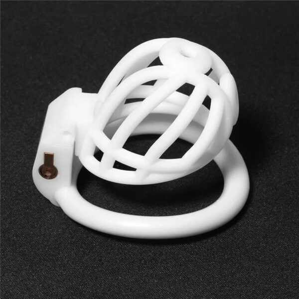 PA Prince Albert Chastity Cage with 4 Rings — image 11 PA Prince Albert Chastity Cage with 4 Rings — product image 11