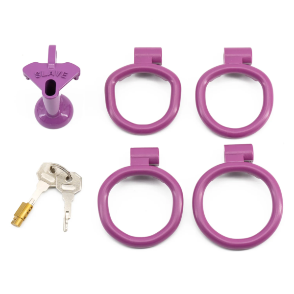 Slave Flat / Negative Chastity Cage with 4 Rings – Multicolor — product image 17