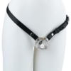 Stainless Steel Snake Guard Locking Chastity Cage (Short / Long) — product image 7