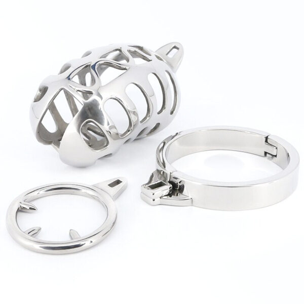 Metal Cock Cage with Spiked Penis Ring – Chastity Cage — product image 3