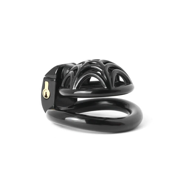 Small Lightweight Resin Spidernet Chastity Cage — image 26 Small Lightweight Resin Spidernet Chastity Cage — product image 26